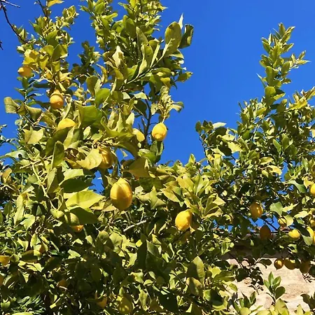 Bed & Breakfast Is Antas 3*