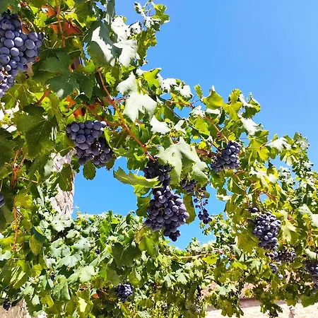 Bed & Breakfast Is Antas