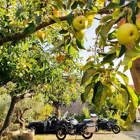 Is Antas Bed and Breakfast