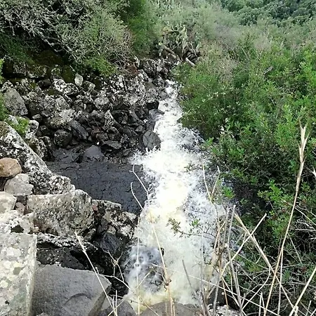 Is Antas 3*