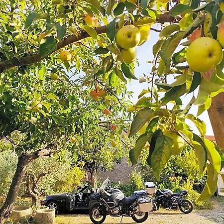 Is Antas فندق مبيت وإفطار Orroli